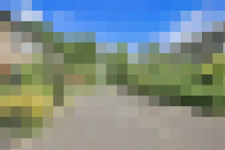 Amestelle 247 Zwanenburg thumbnail 34