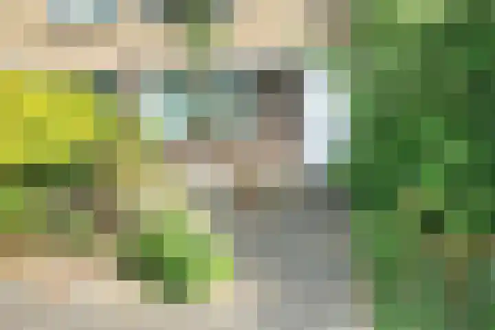 Amestelle 247 Zwanenburg thumbnail 35