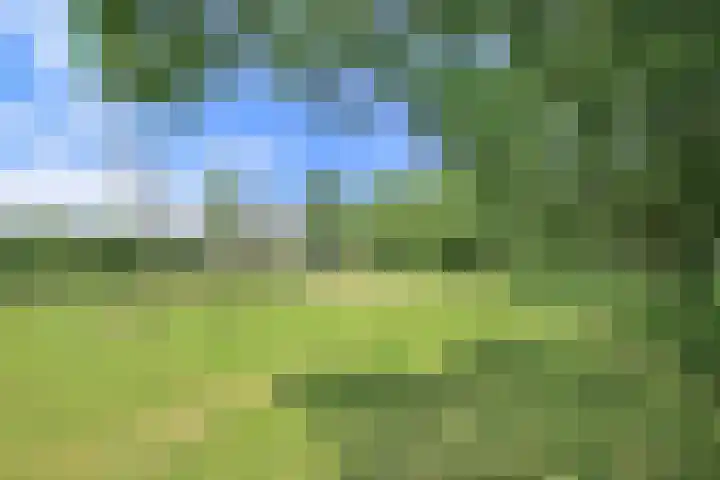 Amestelle 247 Zwanenburg thumbnail 37