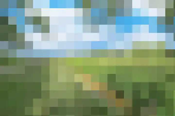 Amestelle 247 Zwanenburg thumbnail 38