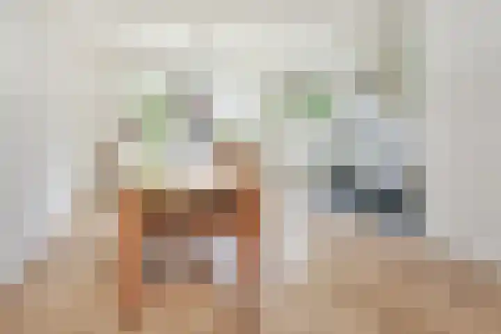 Amestelle 247 Zwanenburg thumbnail 9