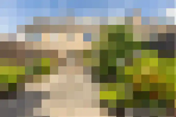 Amestelle 337 Zwanenburg thumbnail 10