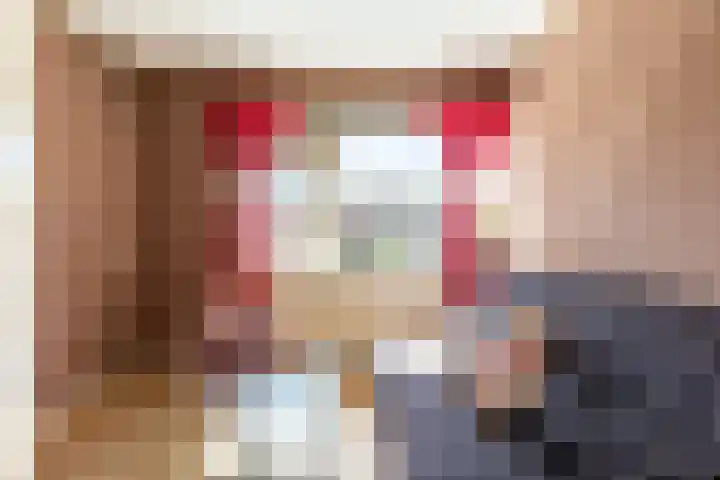 Amestelle 337 Zwanenburg thumbnail 13