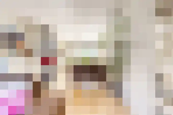 Amestelle 337 Zwanenburg thumbnail 6