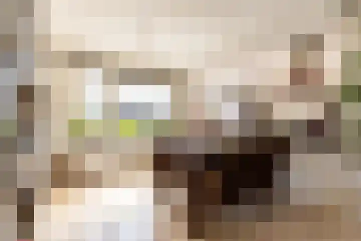 Amestelle 337 Zwanenburg thumbnail 7