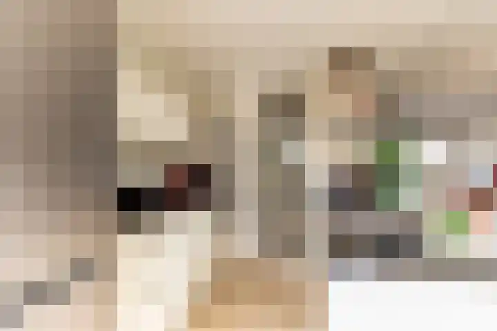 Amestelle 337 Zwanenburg thumbnail 8