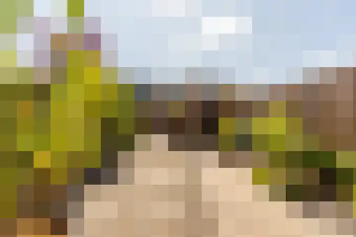 Amestelle 337 Zwanenburg thumbnail 9