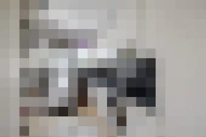 Amestelle 349 Zwanenburg thumbnail 12