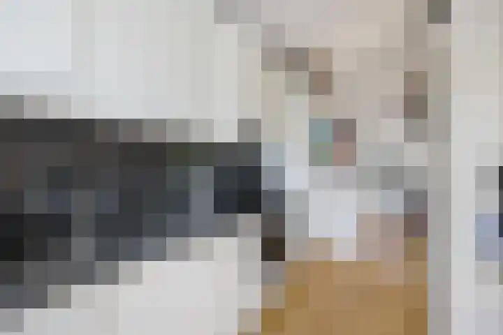 Amestelle 349 Zwanenburg thumbnail 13