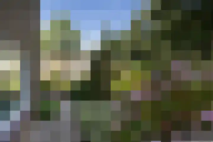 Amestelle 349 Zwanenburg thumbnail 23