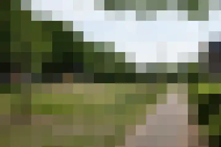 Amestelle 349 Zwanenburg thumbnail 34