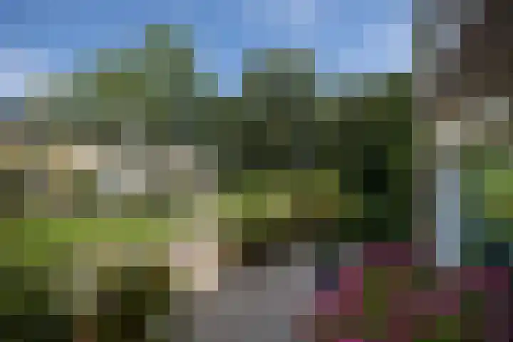 Amestelle 349 Zwanenburg thumbnail 6