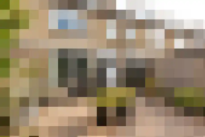 Amestelle 359 Zwanenburg thumbnail 18