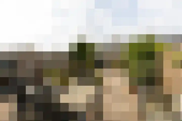 Amestelle 359 Zwanenburg thumbnail 19