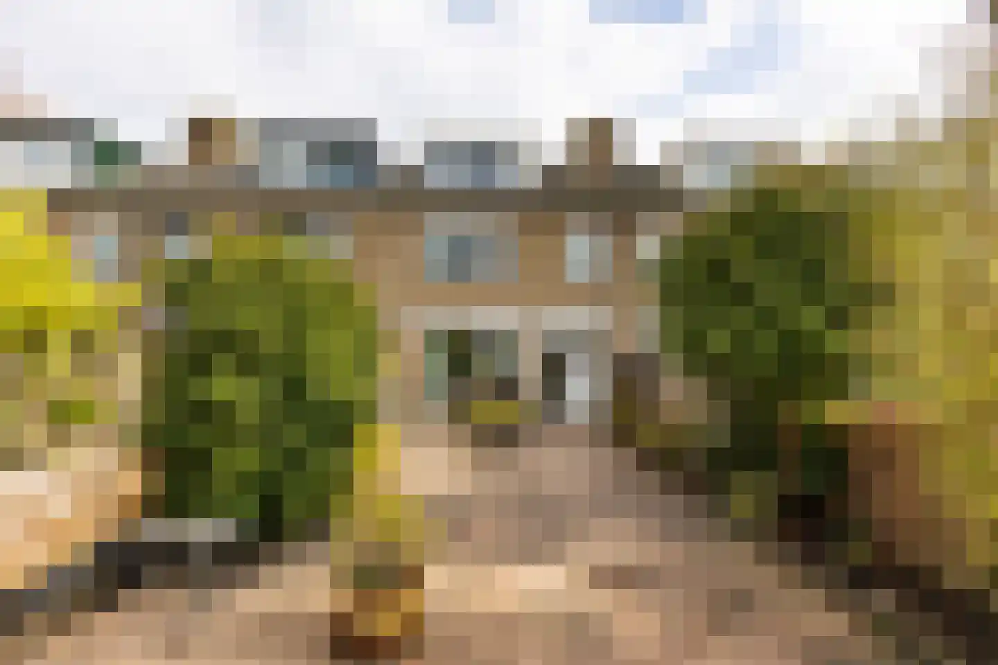 Amestelle 359 Zwanenburg thumbnail 21