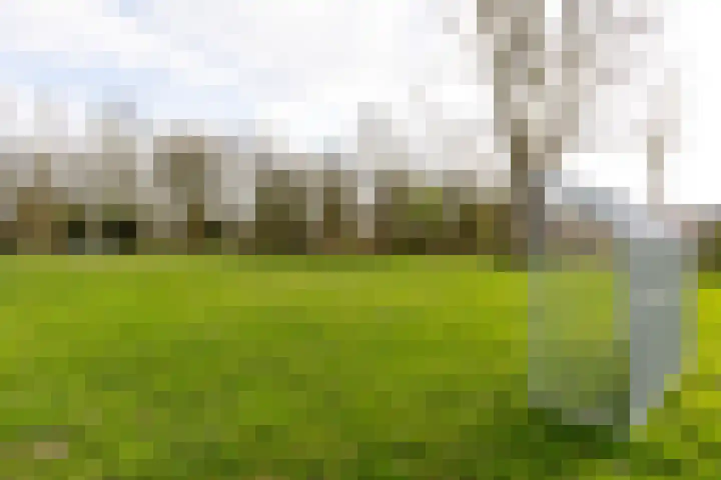 Amestelle 359 Zwanenburg thumbnail 35