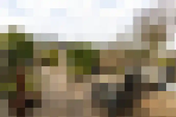 Amestelle 359 Zwanenburg thumbnail 6