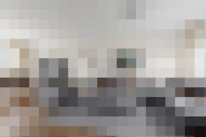 Amestelle 359 Zwanenburg thumbnail 9