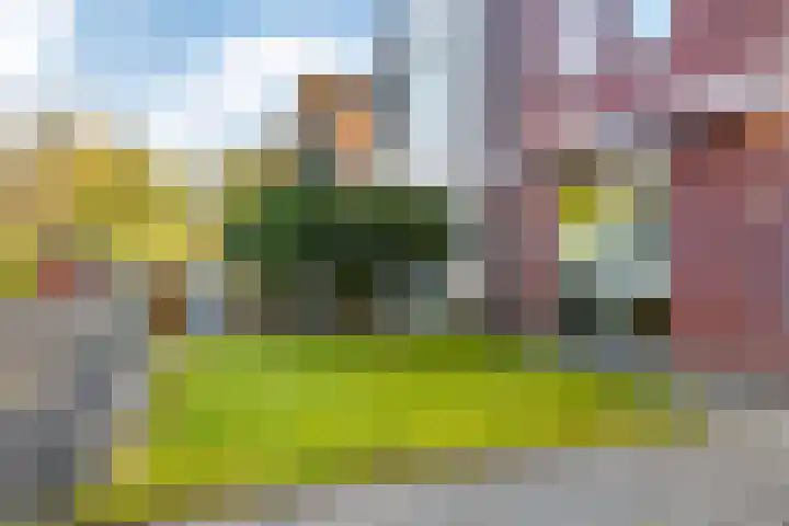 Amethist 32 Drachten thumbnail 28