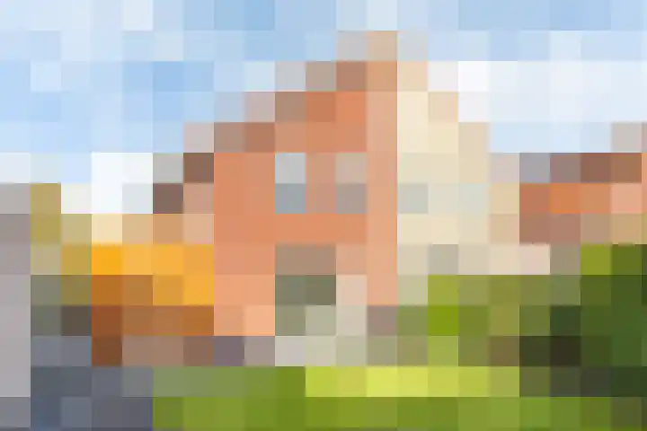 Amethist 32 Drachten thumbnail 31
