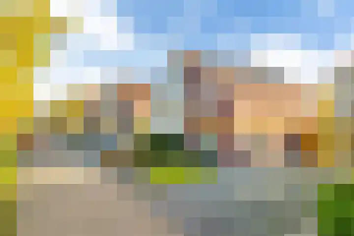 Amethist 32 Drachten thumbnail 6