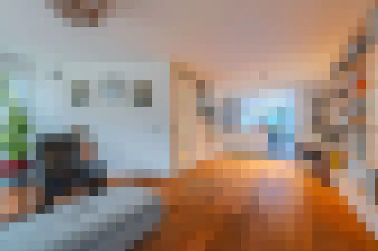Amethist 38 Venlo thumbnail 11