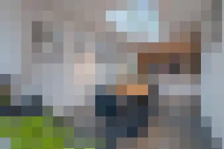 Amethist 38 Venlo thumbnail 20