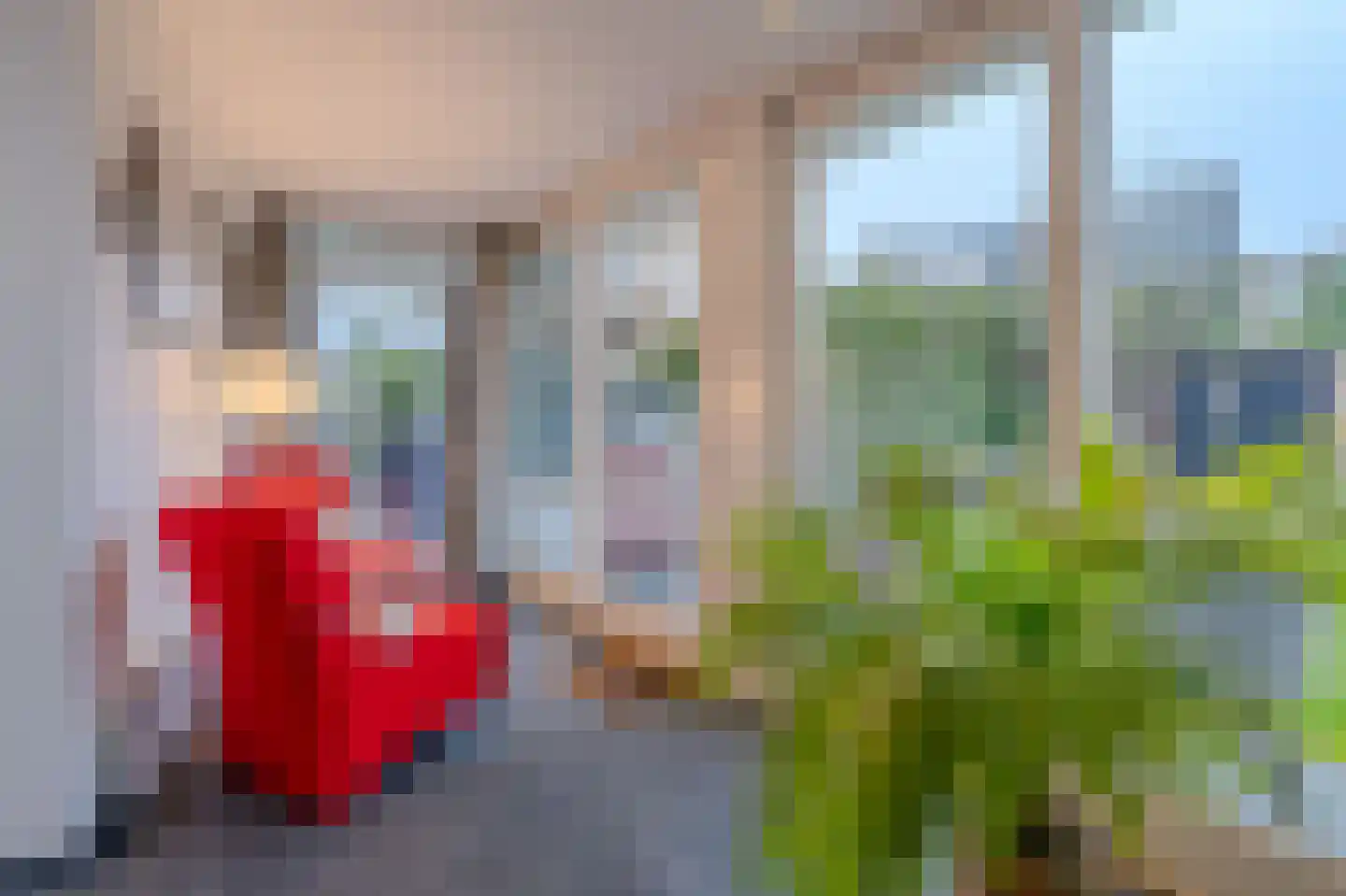 Amethist 38 Venlo thumbnail 24