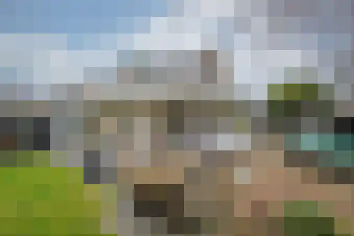 Amethist 38 Venlo thumbnail 38