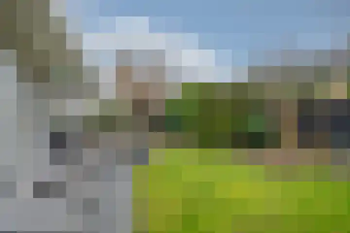 Amethist 38 Venlo thumbnail 7