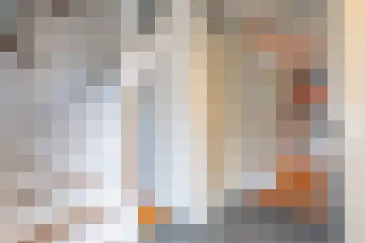 Amethist 38 Venlo thumbnail 8