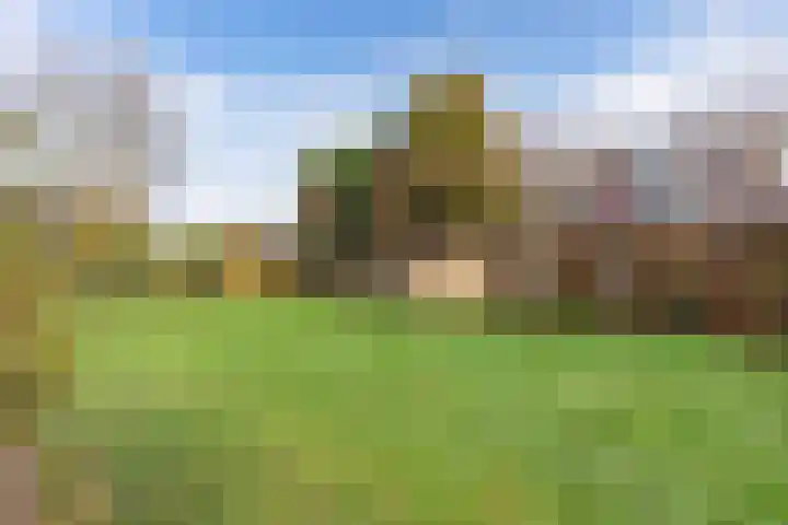 Amethist 40 Drachten thumbnail 49