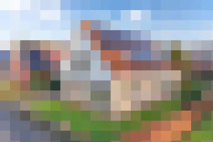 Amethist 40 Drachten thumbnail 52