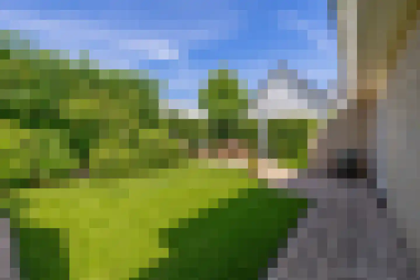 Amethist 6 Zoetermeer thumbnail 23