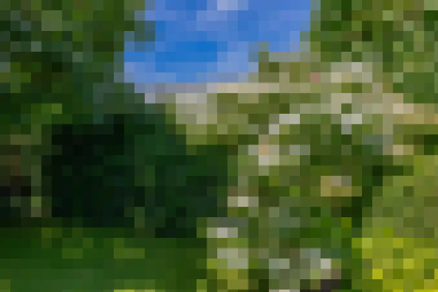 Amethist 6 Zoetermeer thumbnail 27