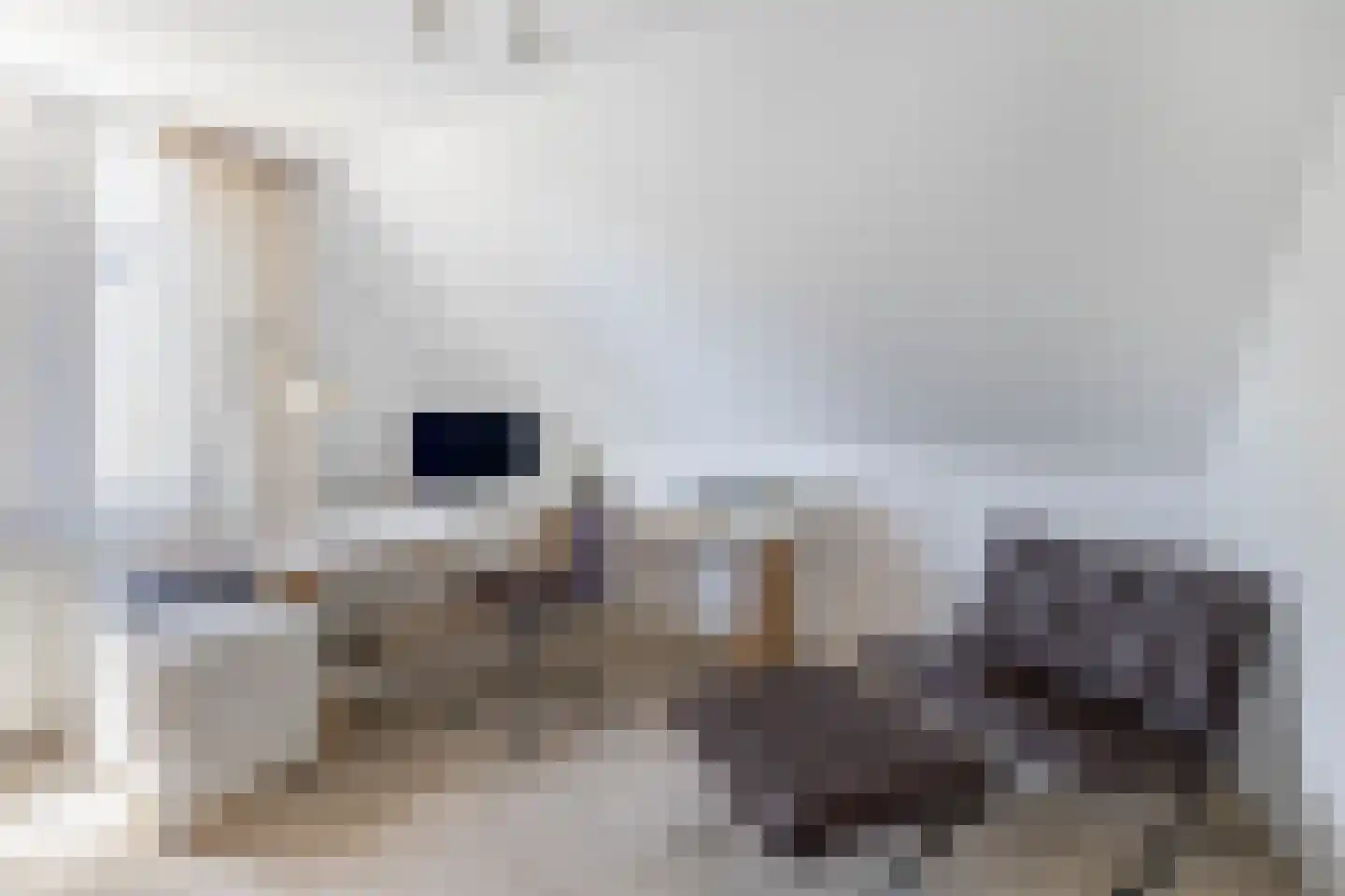 Amethist 6 Zoetermeer thumbnail 34