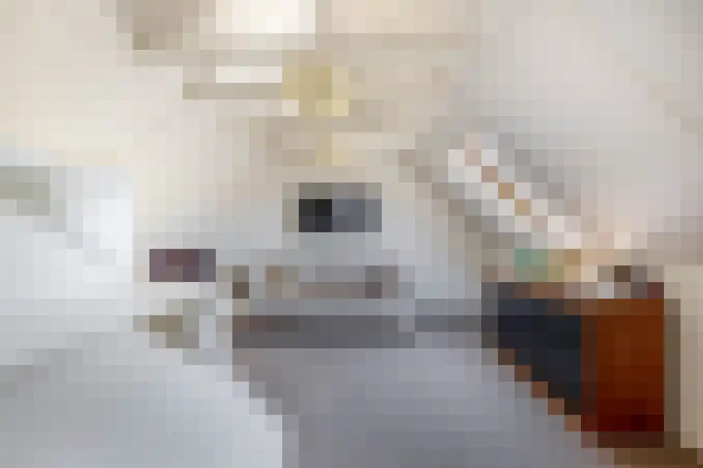 Amethist 6 Zoetermeer thumbnail 37