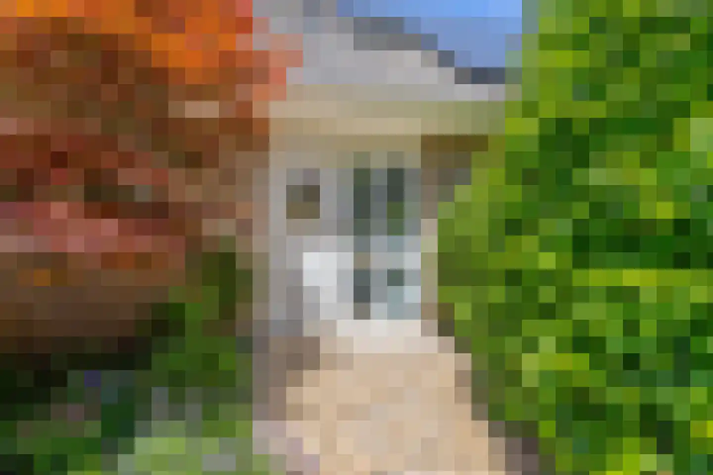 Amethist 6 Zoetermeer thumbnail 8