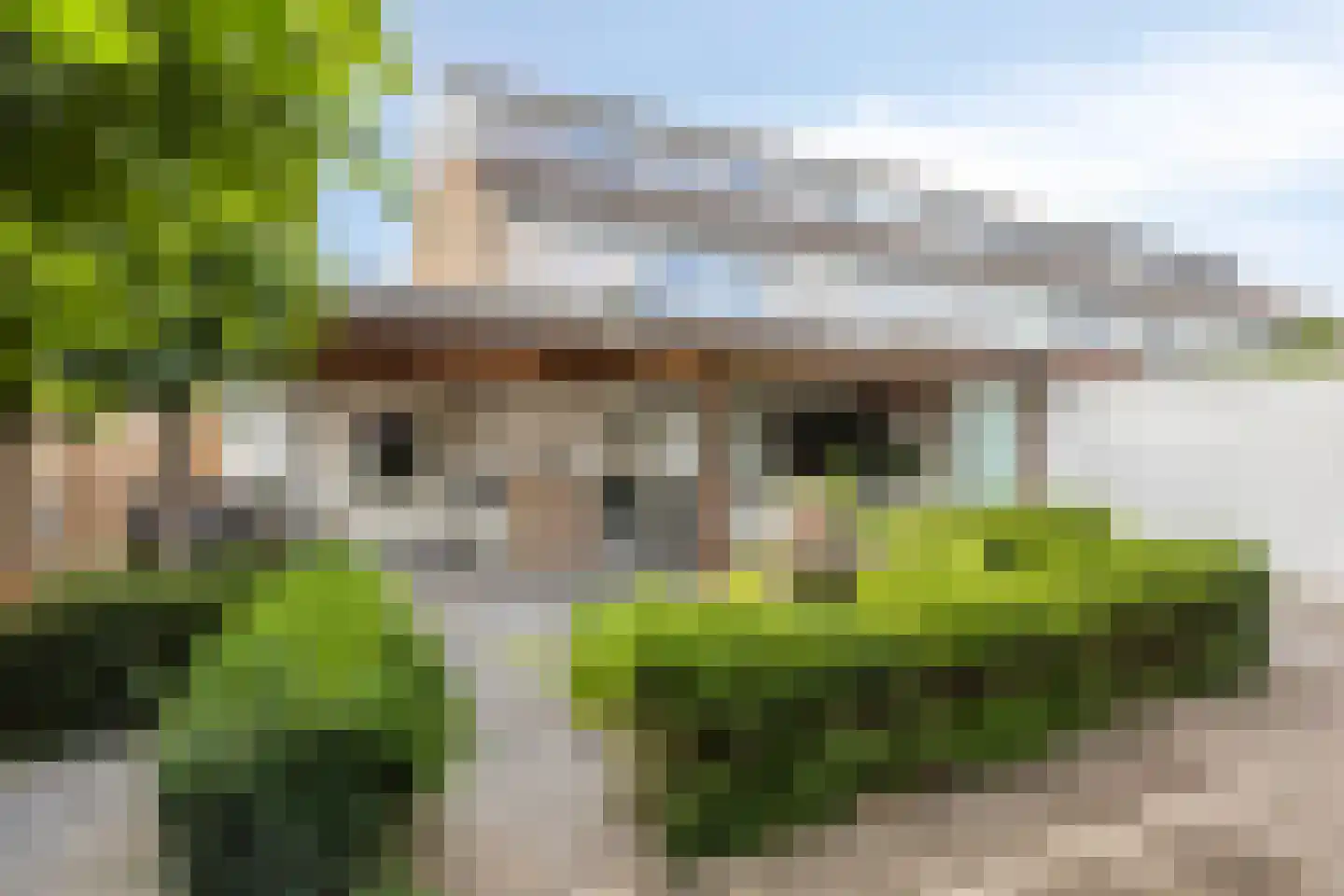 Amethistdijk 79 Roosendaal thumbnail 58
