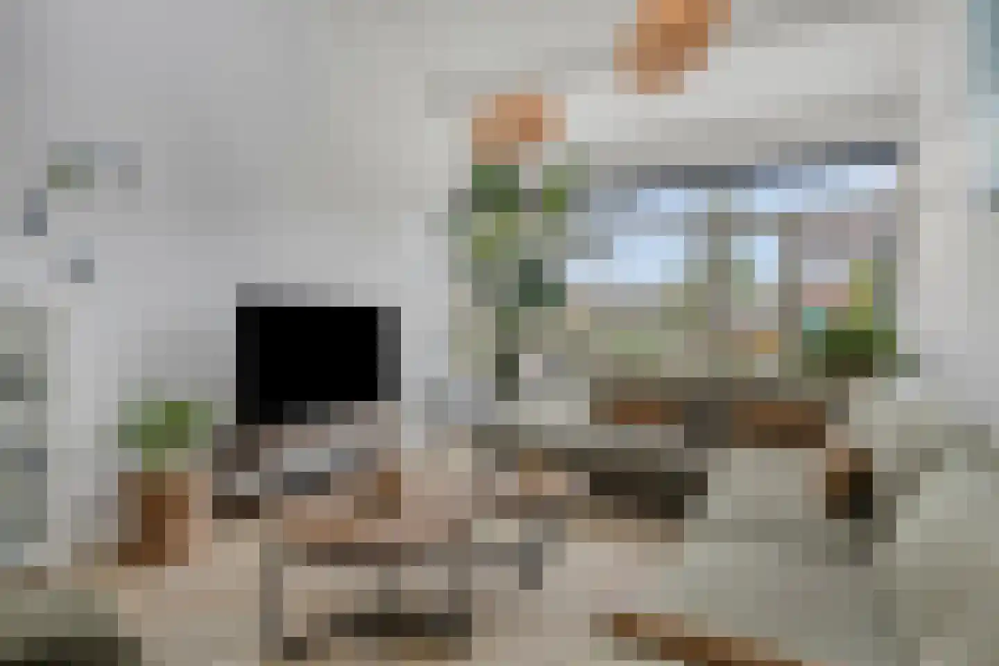Amethistdijk 79 Roosendaal thumbnail 6