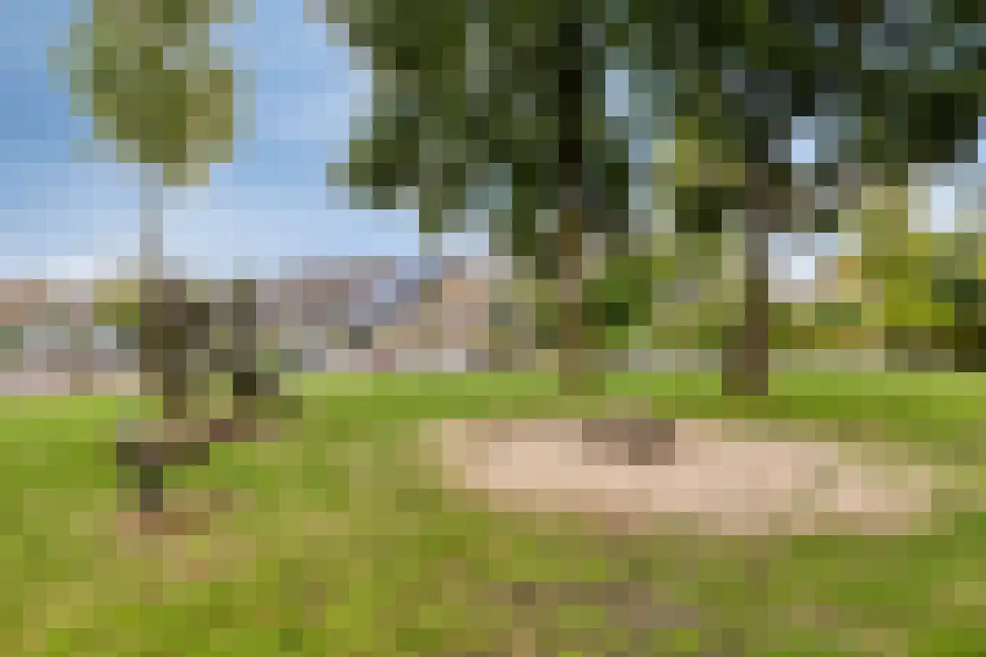Amethistdijk 79 Roosendaal thumbnail 70