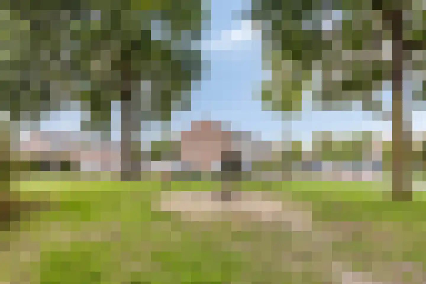Amethistdijk 79 Roosendaal thumbnail 71