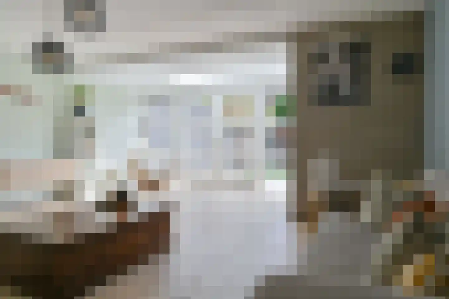 Amethistdreef 26 Emmen thumbnail 18