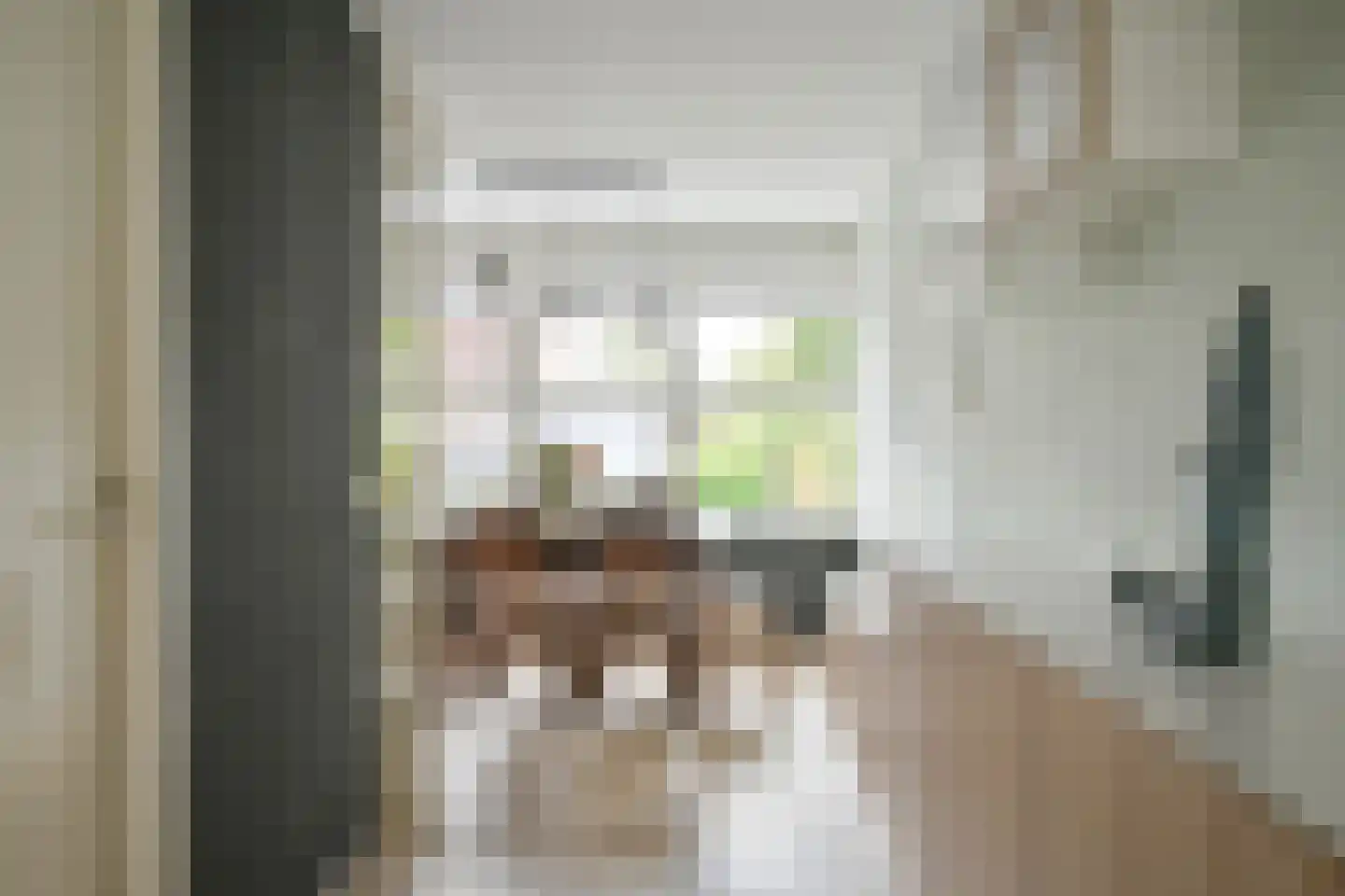 Amethistdreef 26 Emmen thumbnail 23