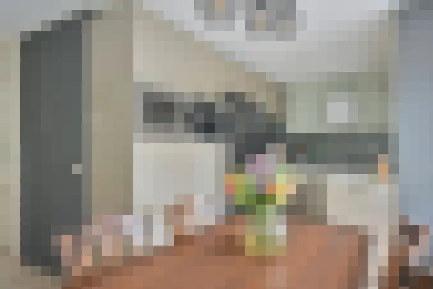 Amethistdreef 26 Emmen thumbnail 28