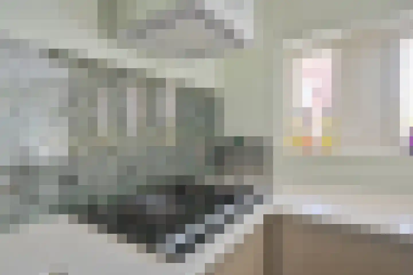 Amethistdreef 26 Emmen thumbnail 33