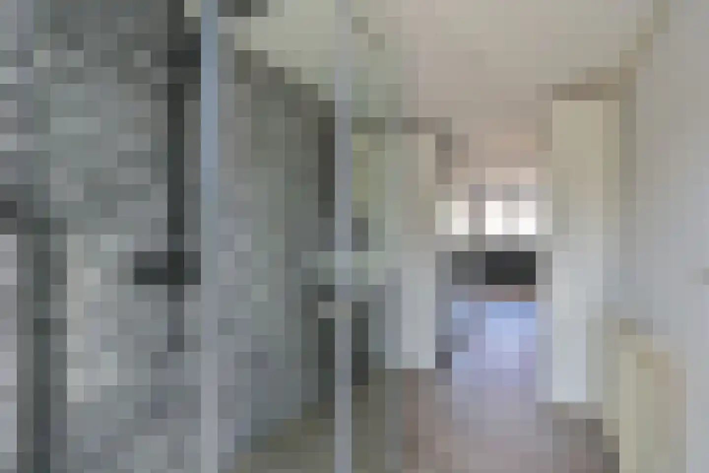 Amethistdreef 26 Emmen thumbnail 44