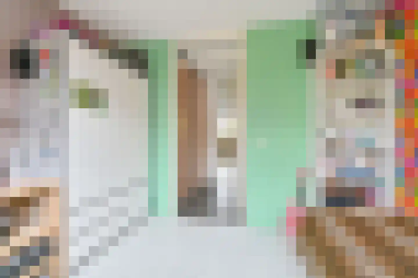 Amethistdreef 26 Emmen thumbnail 72