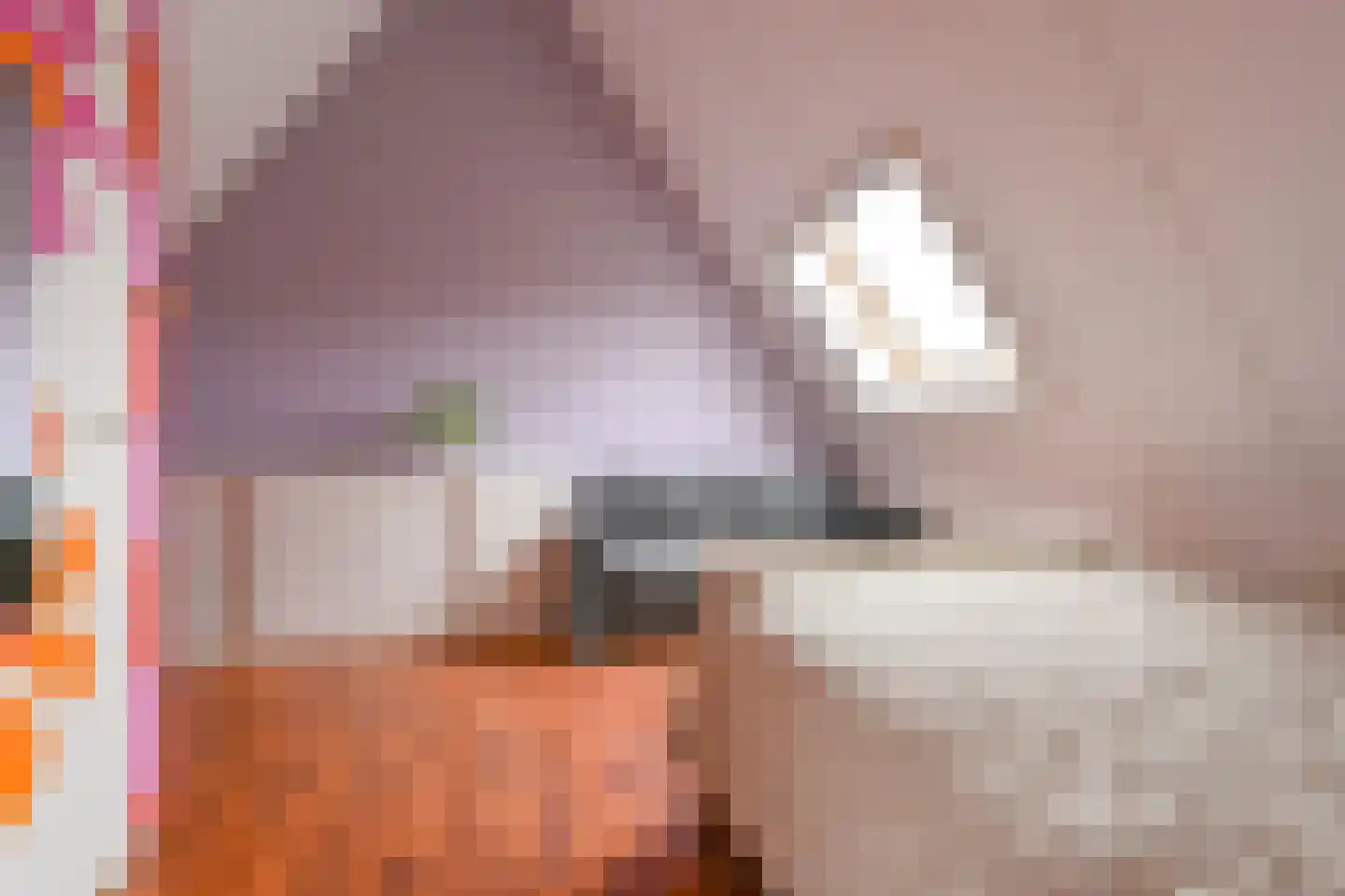 Amethistdreef 26 Emmen thumbnail 75