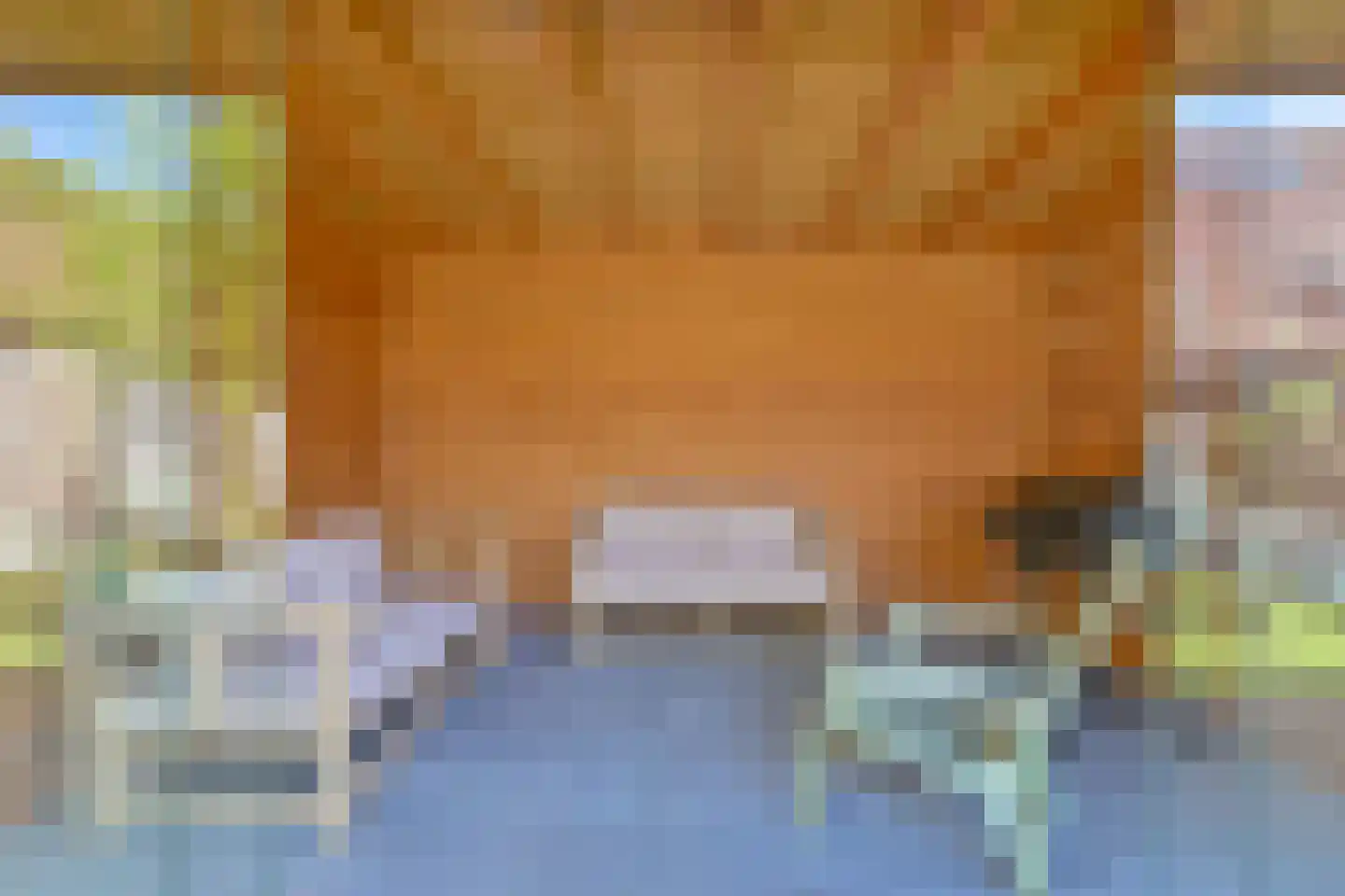 Amethistdreef 26 Emmen thumbnail 88